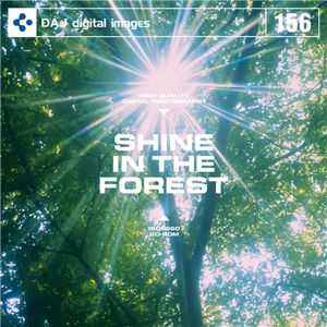ʐ^f DAJ156 SHINE IN THE FOREST y؉kz