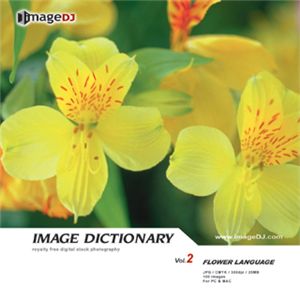 ʐ^f imageDJ Image Dictionary Vol.1 Ԍt