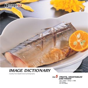 ʐ^f imageDJ Image Dictionary Vol.5 ʕƗ