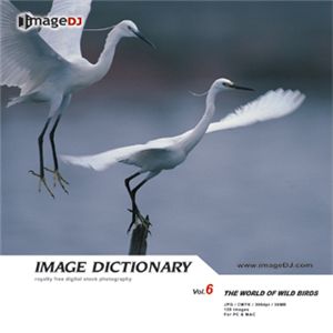 ʐ^f imageDJ Image Dictionary Vol.6 쒹