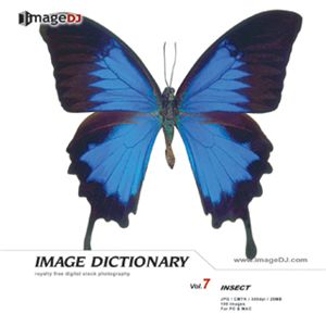 ʐ^f imageDJ Image Dictionary Vol.7 W{