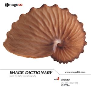 ʐ^f imageDJ Image Dictionary Vol.8 L