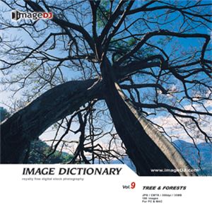 ʐ^f imageDJ Image Dictionary Vol.9 ؂ƐX