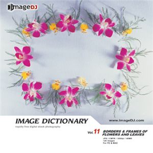 ʐ^f imageDJ Image Dictionary Vol.11 ԏ