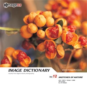 ʐ^f imageDJ Image Dictionary Vol.12 R