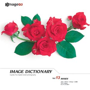 ʐ^f imageDJ Image Dictionary Vol.13 KN