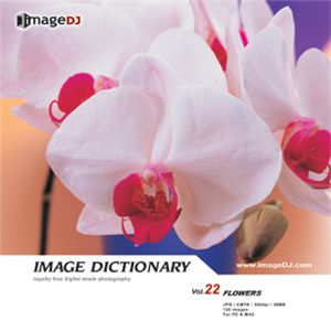 ʐ^f imageDJ Image Dictionary Vol.22 