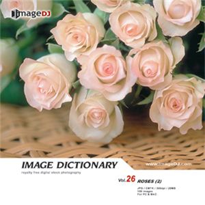 ʐ^f imageDJ Image Dictionary Vol.26 KN(2)