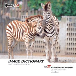 ʐ^f imageDJ Image Dictionary Vol.27 
