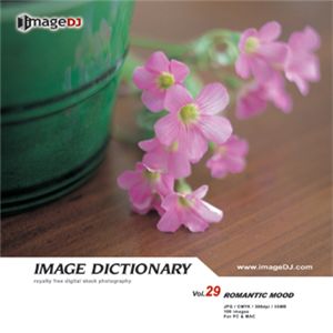 ʐ^f imageDJ Image Dictionary Vol.29 }eBN