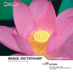 ʐ^f imageDJ Image Dictionary Vol.30 @
