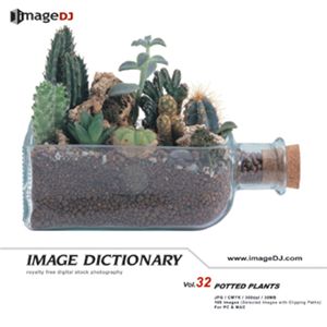 ʐ^f imageDJ Image Dictionary Vol.32 A
