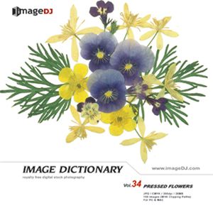 ʐ^f imageDJ Image Dictionary Vol.34 