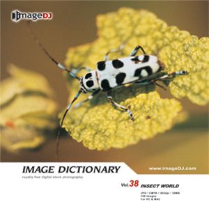 ʐ^f imageDJ Image Dictionary Vol.38 