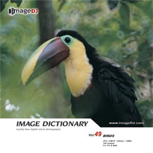 ʐ^f imageDJ Image Dictionary Vol.49 