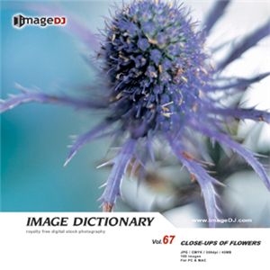 ʐ^f imageDJ Image Dictionary Vol.67 Ԃ̐ڎ