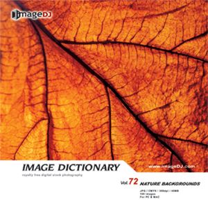 ʐ^f imageDJ Image Dictionary Vol.72 R̔wi