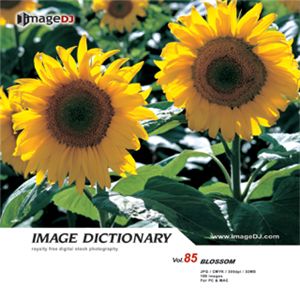 ʐ^f imageDJ Image Dictionary Vol.85  (2)