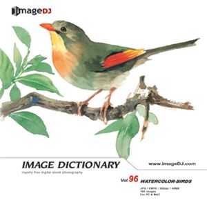 ʐ^f imageDJ Image Dictionary Vol.96  (ʉ)