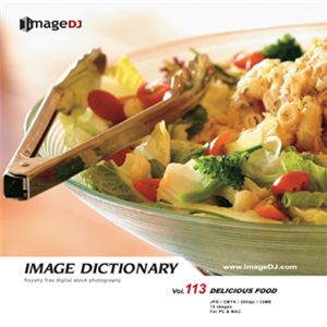 ʐ^f imageDJ Image Dictionary Vol.113 H