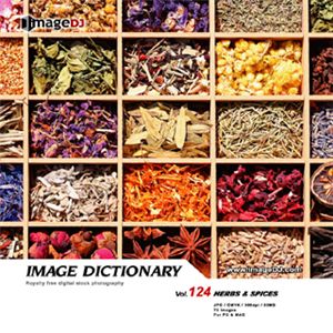 ʐ^f imageDJ Image Dictionary Vol.124 n[uƃXpCX