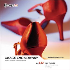 ʐ^f imageDJ Image Dictionary Vol.133 ojeB[@P[X