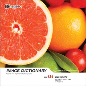 ʐ^f imageDJ Image Dictionary Vol.134 ʕ