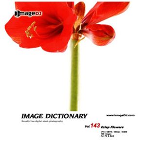 ʐ^f imageDJ Image Dictionary Vol.143 ₩ȉ