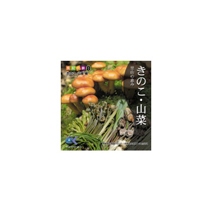 写真素材 マルク 食材の旅：8 松茸 ナメコ 椎茸（きのこ・山菜編）