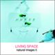 写真素材 naturalimages Vol.6 LIVING SPACE