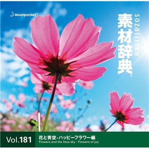 写真素材 素材辞典 Vol.181〈花と青空-ハッピーフラワー編〉
