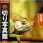 ̿Ǻ ڤ̿ JFI Vol.027 ưʪ޴ Animal Pictorial