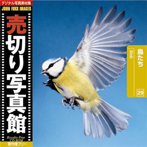 写真素材 売切り写真館 JFI Vol.029 鳥たち Birds 商品画像