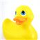 I RUB MY DUCKIE