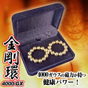 金剛環 4000-GX