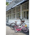 RENAULTim[j] 26C` 266L Classic uE yVeB[oCNz 摜4