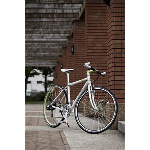 RENAULT（ルノー） 自転車 AL-CRB7021 700インチ