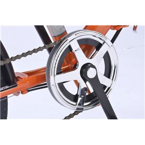 MYPALLAS(マイパラス) 折畳自転車20・6SP M-209 アイボリー MYPALLAS(マイパラス) 折畳自転車20・6SP M-209 アイボリー
