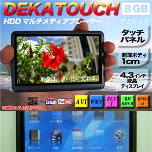 �n���b�Y �^�b�`�p�l�����ڑ��@�\�}���`���f�B�A�v���[���[8GB F43TOUCH 