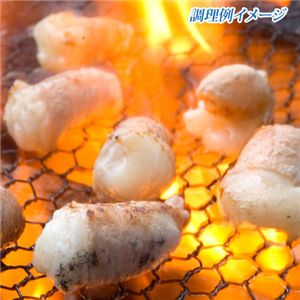 シロコロホルモン(どっさり2kg 20人前)