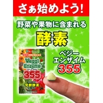 �٥������󥶥���355����ڲ�ʪȯ�ڹ��ǲù����ʡ�