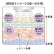 ラメンテ オーロラシューティカルG 特別セット - 縮小画像5