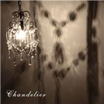 ペンダントライト/シャンデリア 【40W×1灯 ブラック】 幅24cm アクリル スチール製