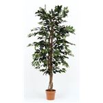 観葉植物/フェイクグリーン 【フィカス A】 7号鉢対応 幅90cm 〔リビング ガーデニング〕