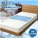 ī�ޤǥ�����(R) ��ȿȯ��ѥ�����ޥå� �ץ����󥰥�(90��60cm)