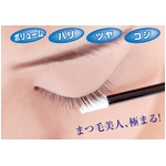 �G�e���i�@�A�C���b�V���G�b�Z���X �摜2