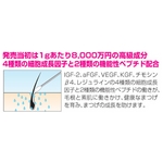 �G�e���i�@�A�C���b�V���G�b�Z���X �摜4