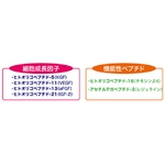 �G�e���i�@�A�C���b�V���G�b�Z���X �摜5