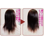 ���F���W�F �X�g���[�g�A�b�v�V�����v�[ �摜2