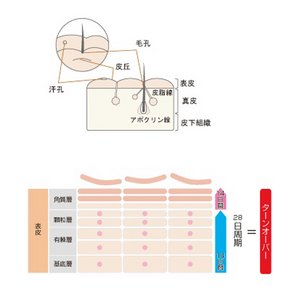 元美水　150ml